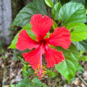 Meet your Posher, Tanya